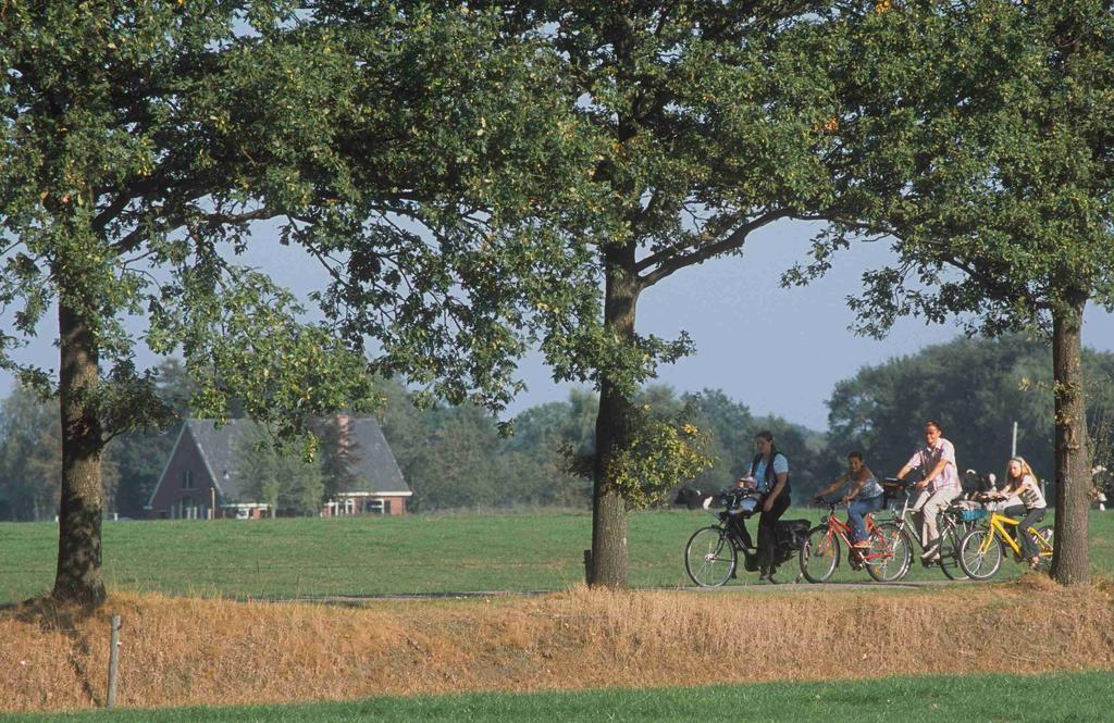 Camping Het Wieskamp Henxel Exteriér fotografie