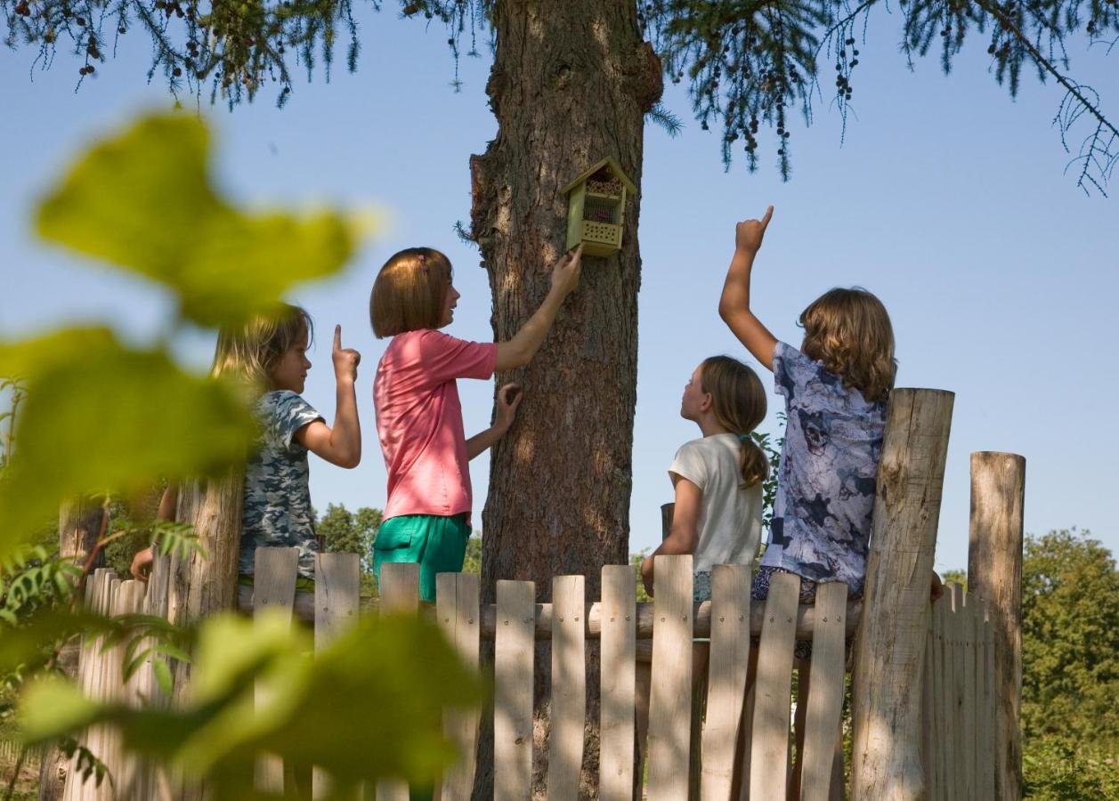 Camping Het Wieskamp Henxel Exteriér fotografie